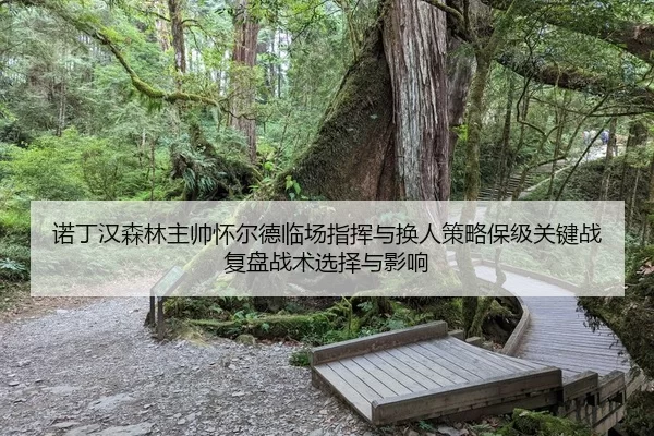 诺丁汉森林主帅怀尔德临场指挥与换人策略保级关键战复盘战术选择与影响
